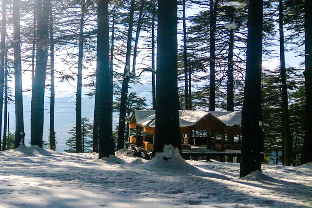  Katra Best Hotel